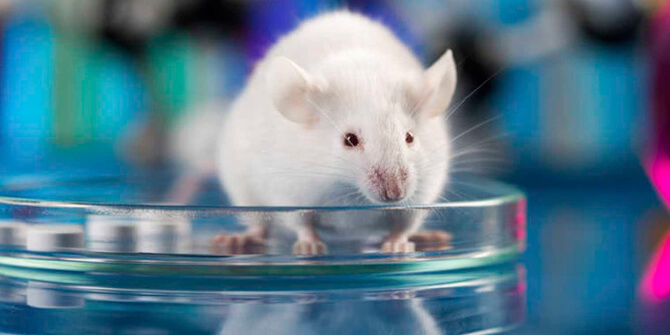 Titanoceno, medicamento probado con éxito contra el cáncer en ratones